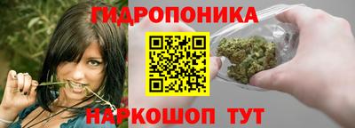 стафф Краснознаменск